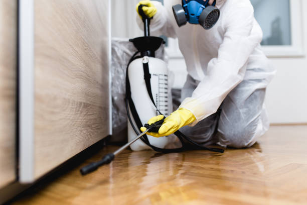 Best Pest Prevention Services  in Shullsburg, WI