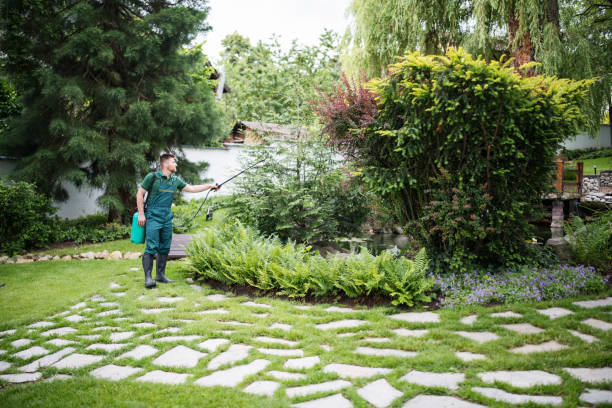 Best Pest Control Near Me  in Shullsburg, WI