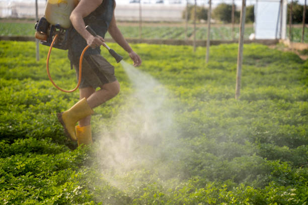 Best Affordable Pest Control Services  in Shullsburg, WI