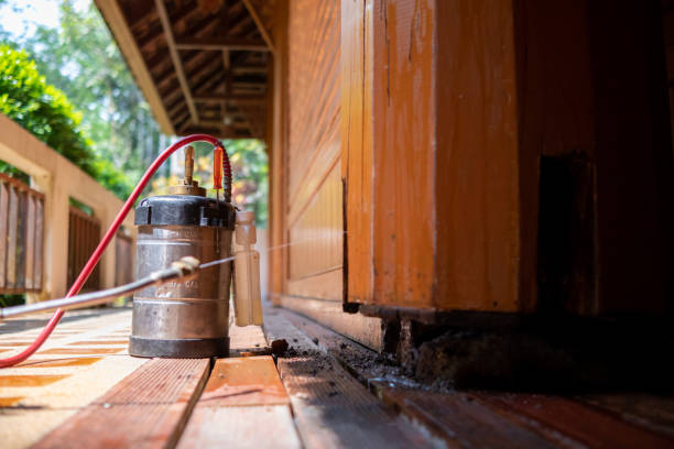 Best Affordable Pest Control Services  in Shullsburg, WI