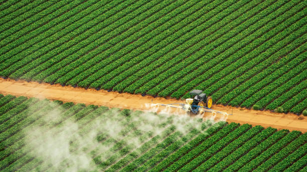 Best Pest Removal Services  in Shullsburg, WI