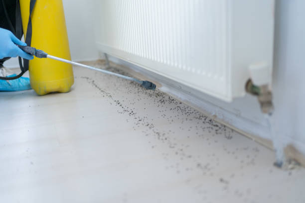Best Pest Inspection Near Me  in Shullsburg, WI