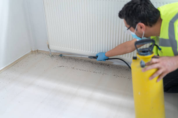 Best Residential Pest Control  in Shullsburg, WI