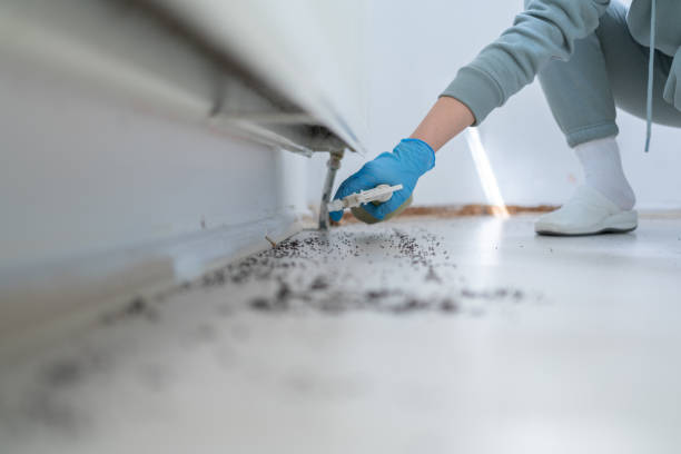 Best Spider Control Near Me  in Shullsburg, WI
